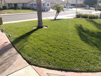 Lawn $ervice $