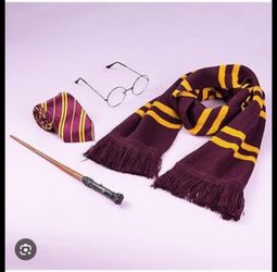 Harry Potter  Costume Accessory Set