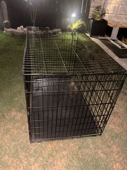 Dog cage