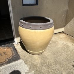 Big Pot For Plants