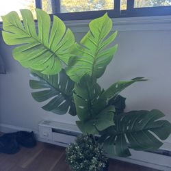 Faux Plant 