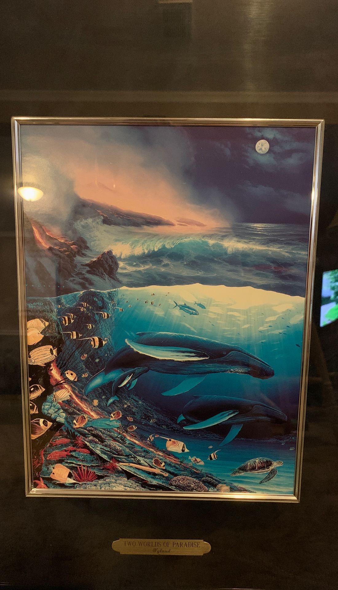 Wyland Matted and Framed Art