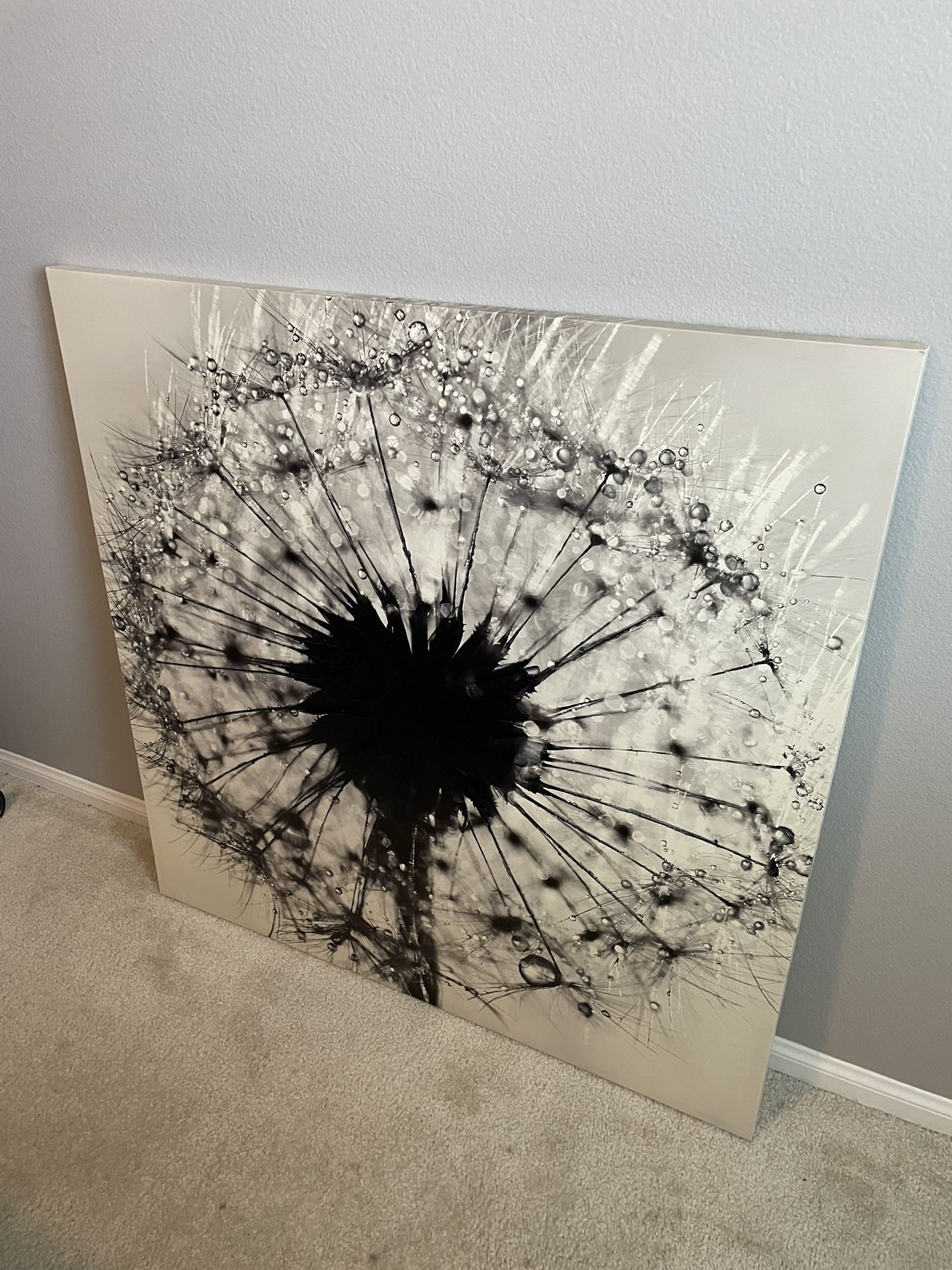 Dandelion Wall Art