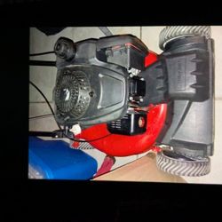 Fairly New Troy-Bilt 8 Horsepower Briggs& Stratton Motor Self-propelled Ready To Go New Grass Catcher Comes With A Lawn Mower Also