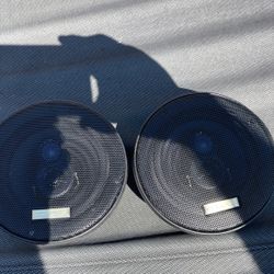 Speakers Eclipse 5”