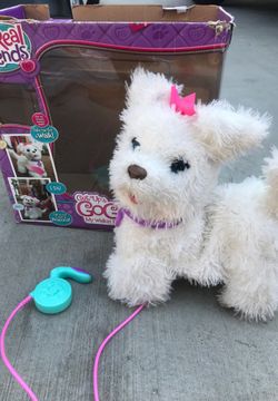 Gogo dog