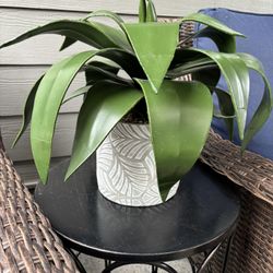 Decorative Faux Plant In Nice Condition 