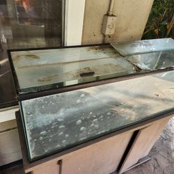 Free 60 gal Aquarium