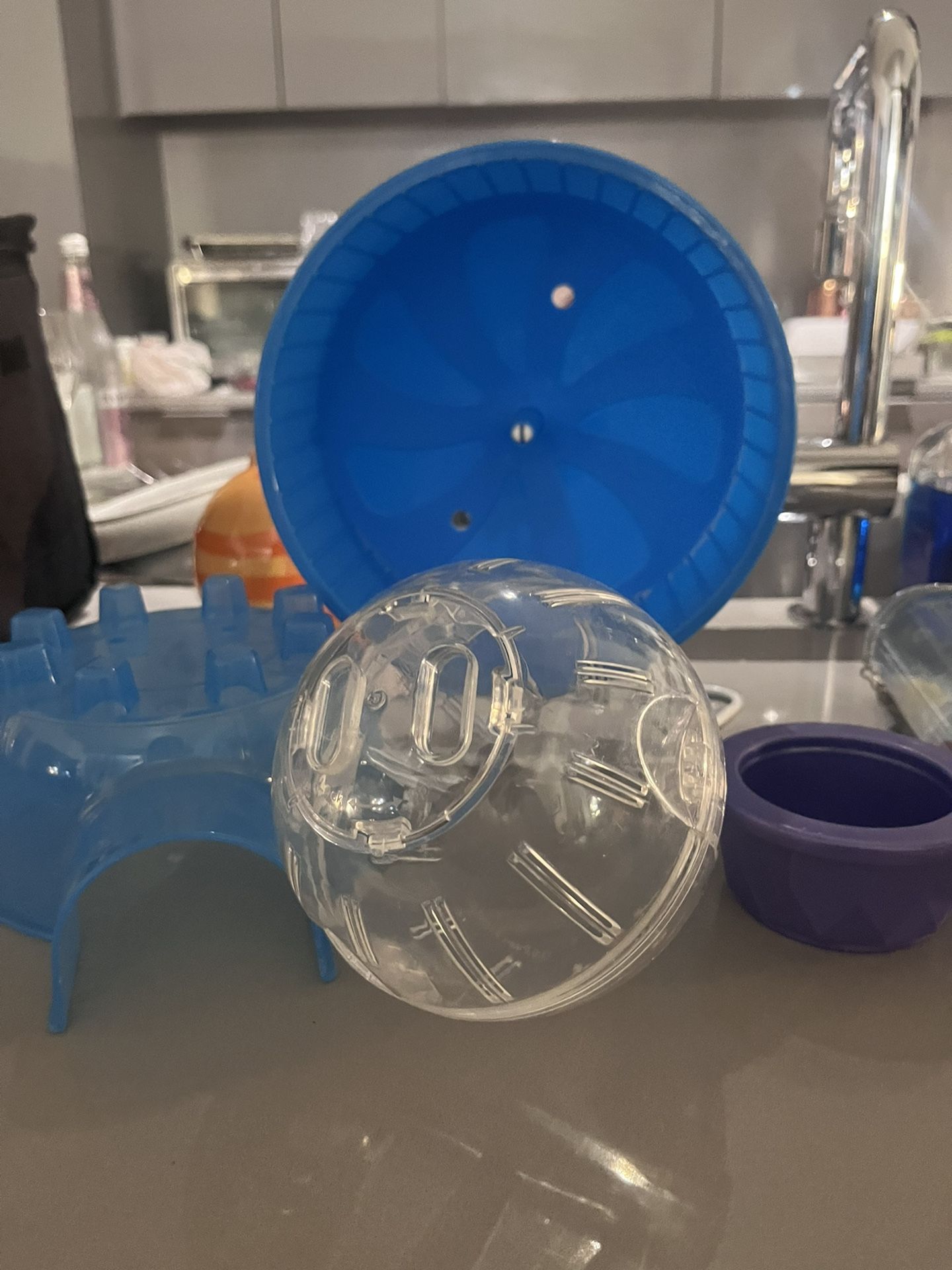 Hamster cage needs