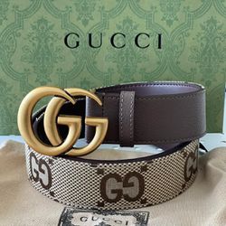 Gucci Men Belt 
