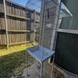 Bird Cage