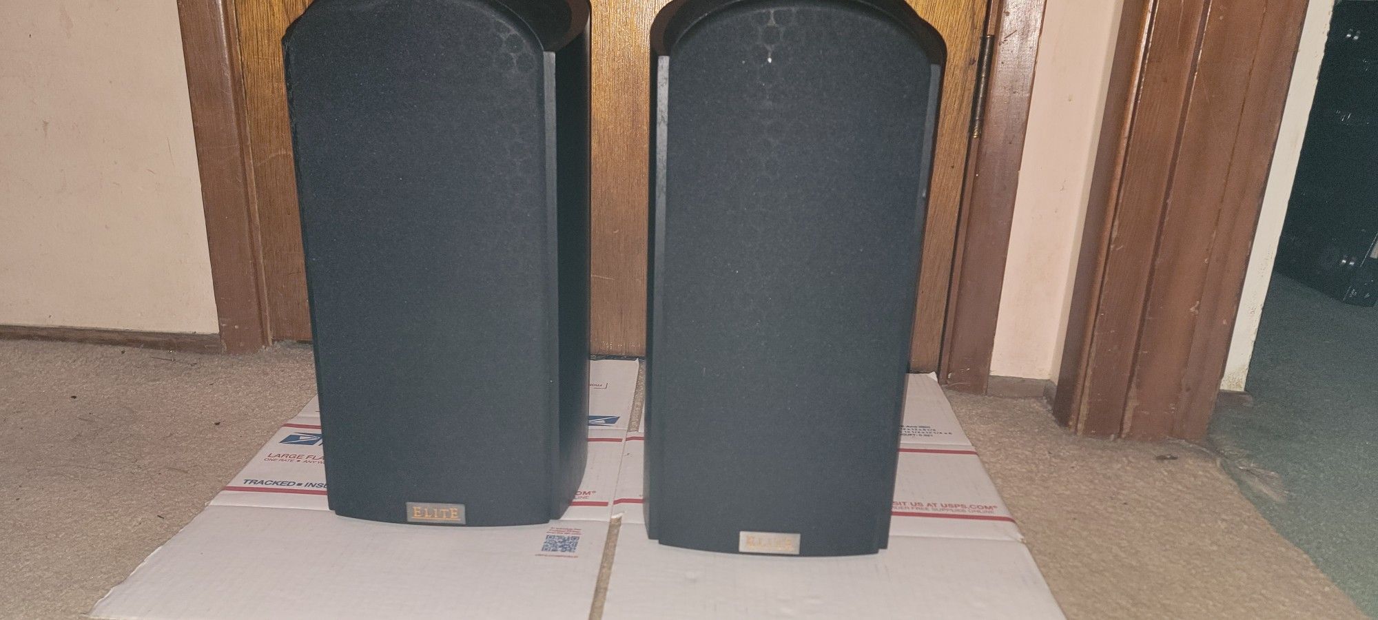 Pioneer Elite Sp-ebs73-lr Speaker Pair.  Pick Up Only 