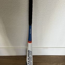 Easton Quantum Baseball Bat