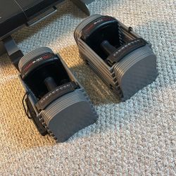 Weights!!! Powerblock 50s For Sale! 