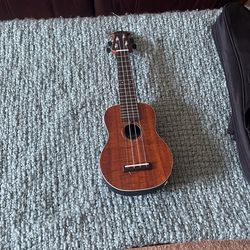 Electric Ukulele For Kids.