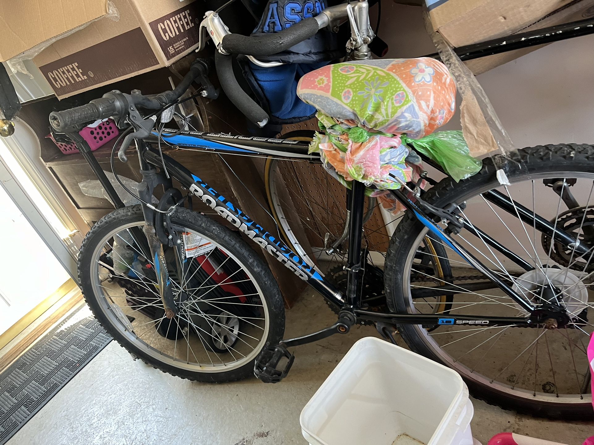 Roadmaster Bike