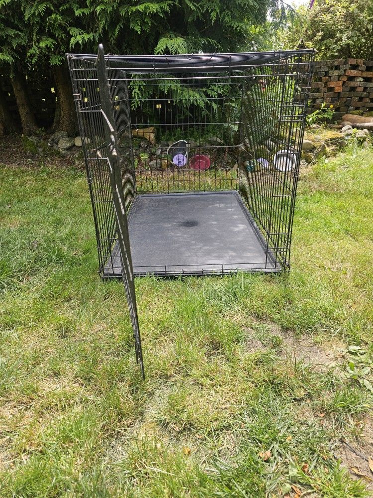 Kennel