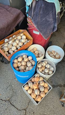 Used baseballs