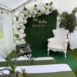 Safari Baby Shower