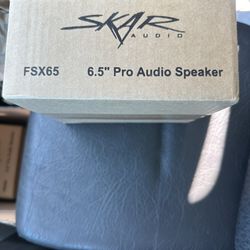 Skar Audio Speaker 6.5