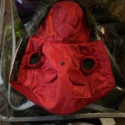 red small dog 🐕 hooded coat 