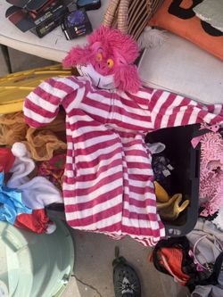 Alice Cat Costume Size 5/6