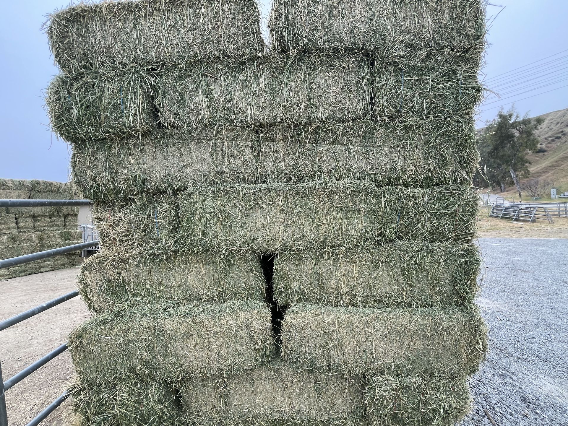 Shipment! Horse Quality Hay 
