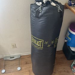 Everlast USA Punching Bag 