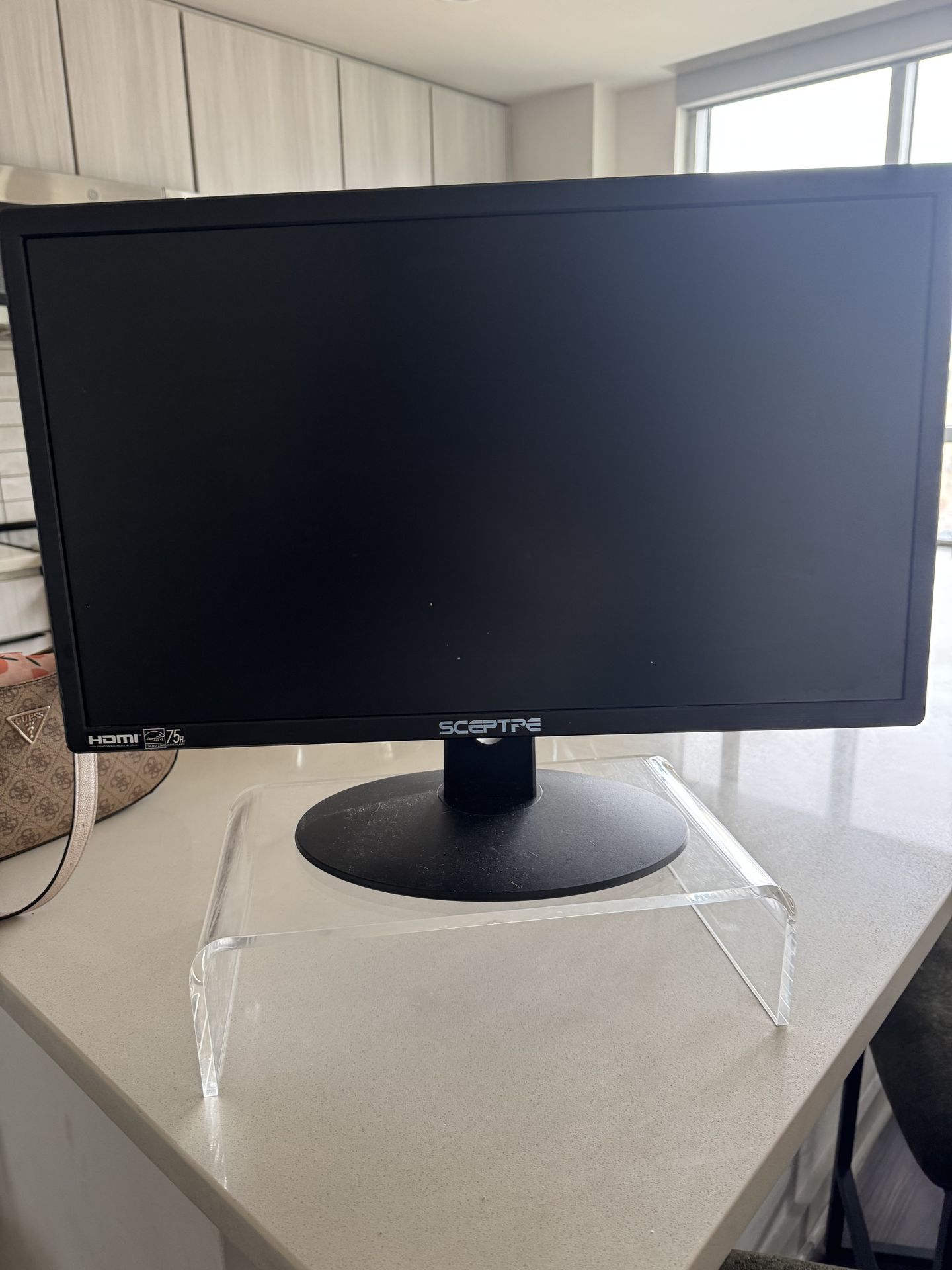 Sceptre HDMI Monitor