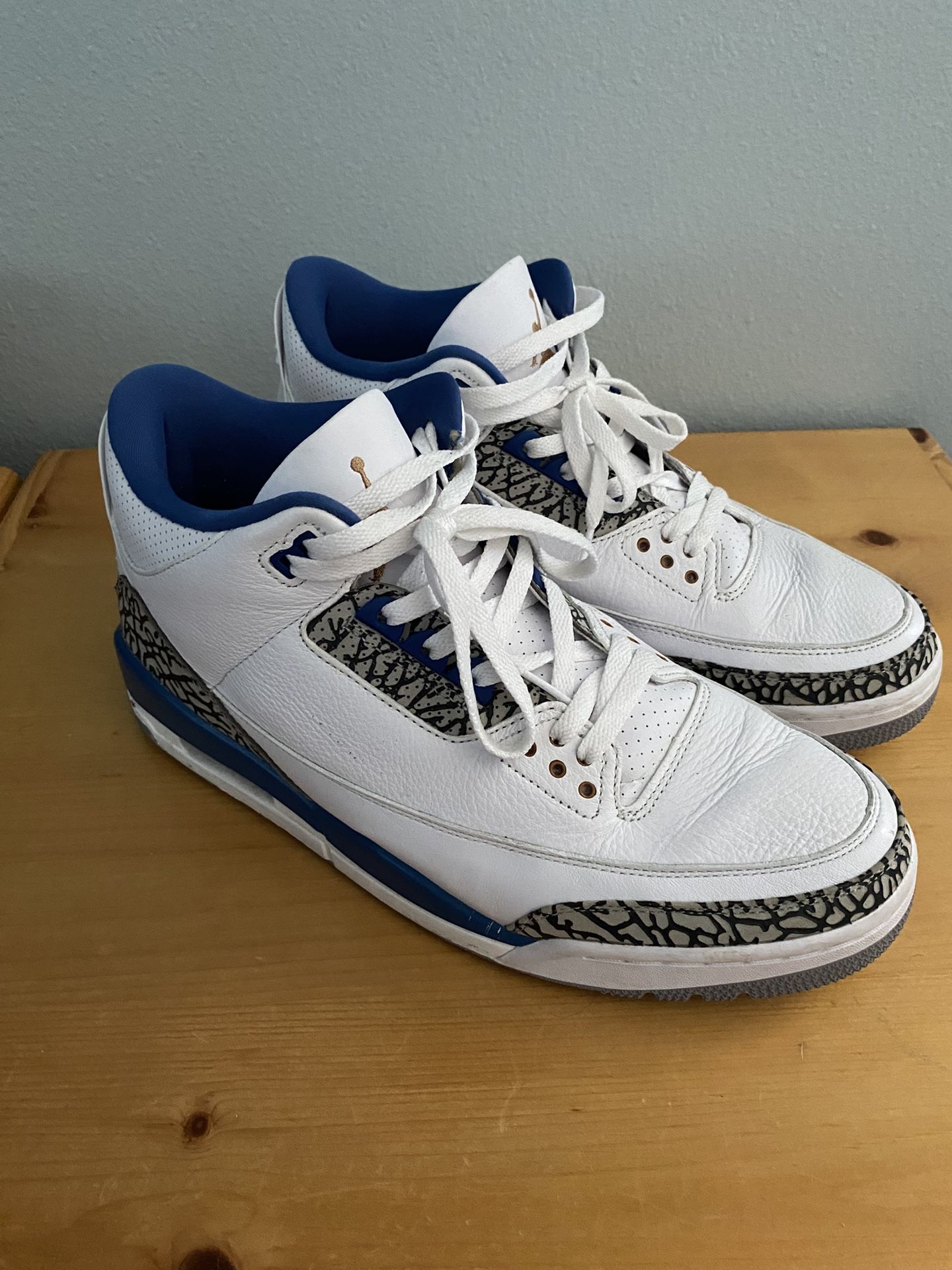 Size 13 Jordan 3 Wizards