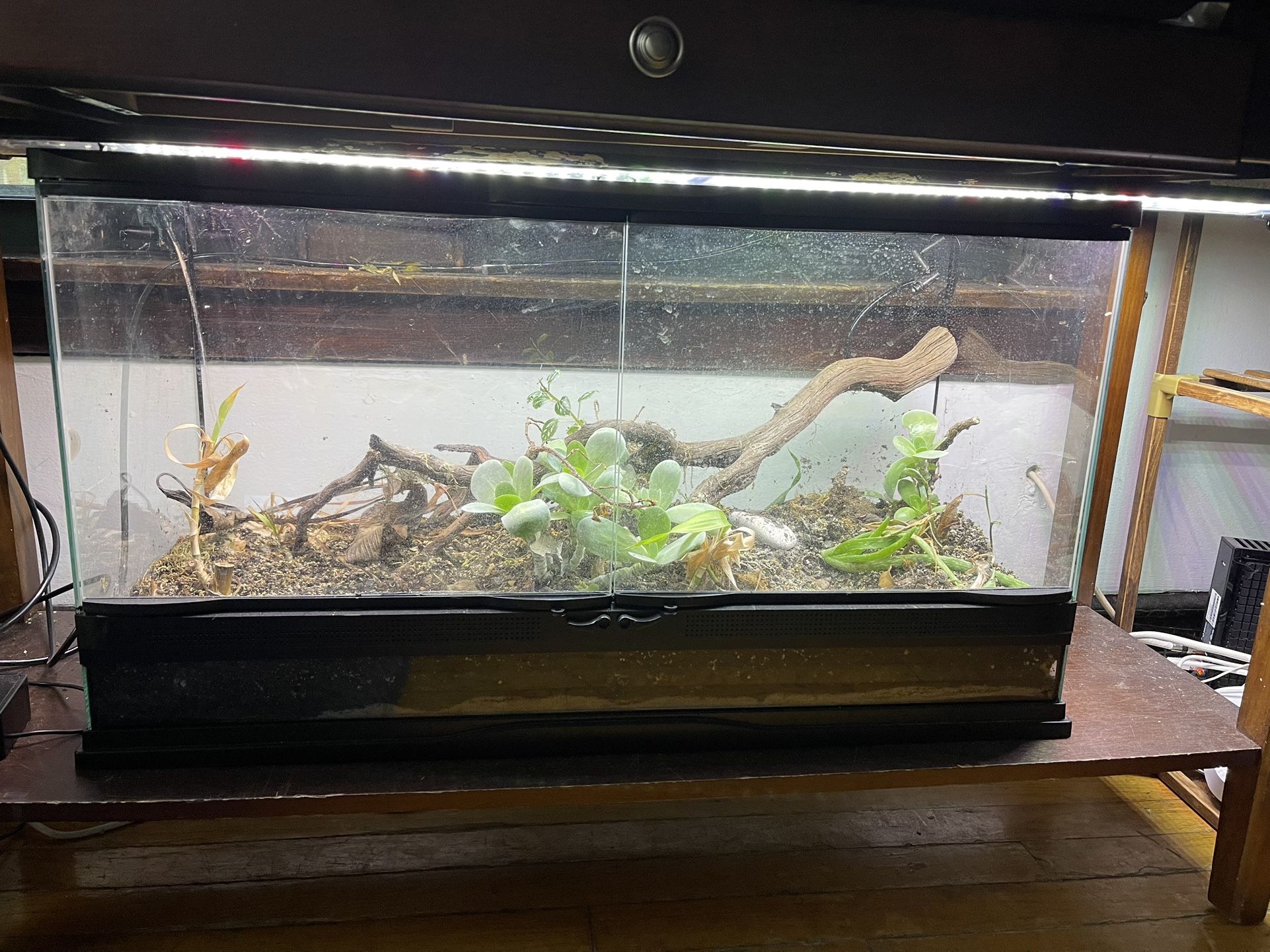 Terrarium with a automatic water mister included 