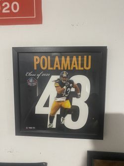 Pittsburgh Steelers Troy Polamalu Hall Of Fame Frame Picture