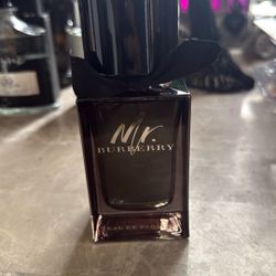 Mr Burberry Edp