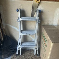 Extended Ladder