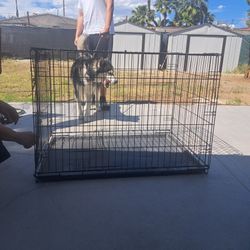 XL Dog Crate 