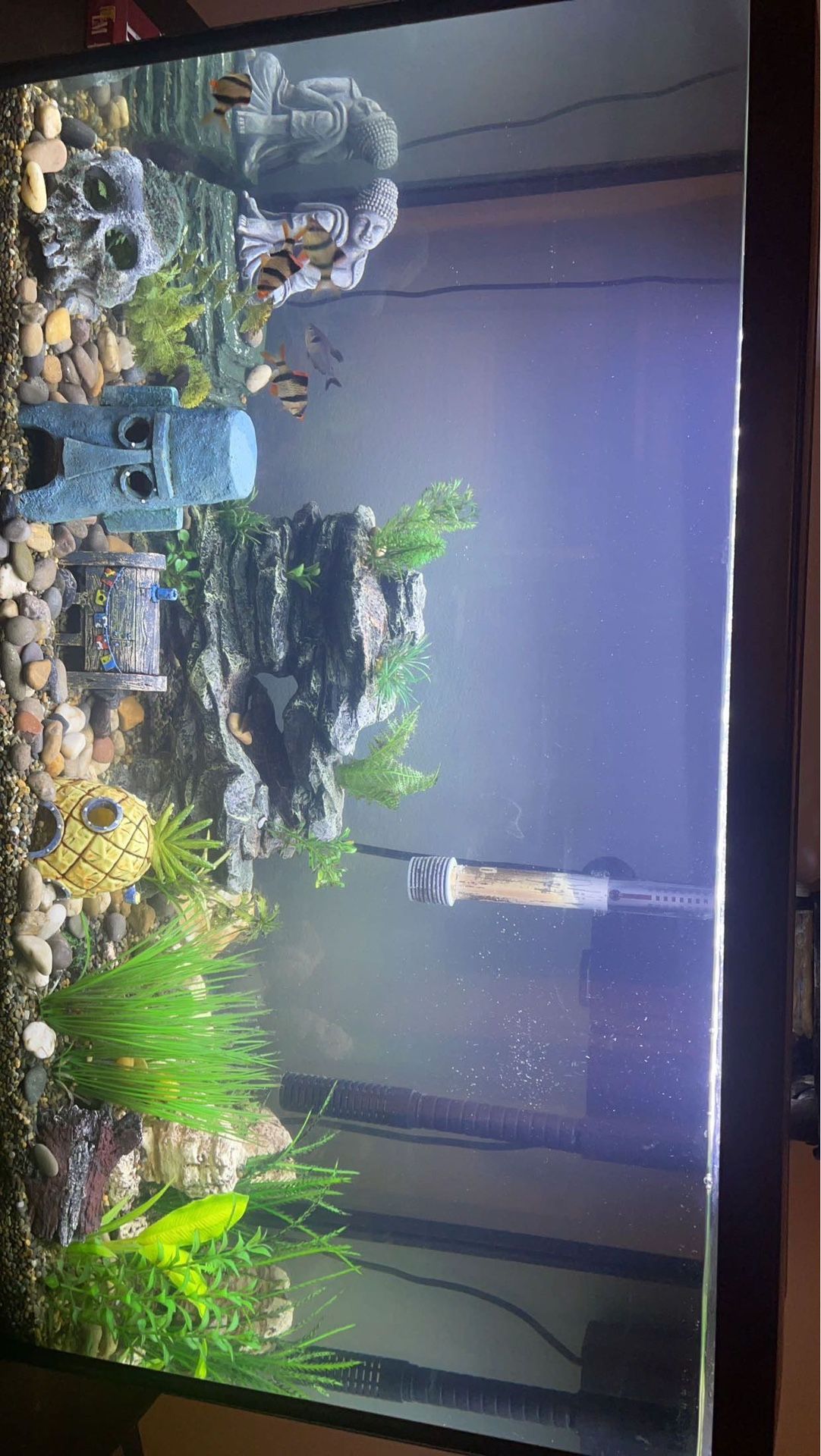 30 Gallon Aquarium