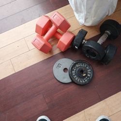 Dumb bells two sets and 2x 5lbs  weight all $5.00 Price for all?
Paradise