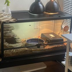 Snake Stuff Plus More