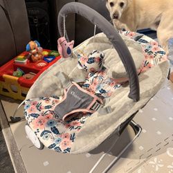 Baby Bouncer