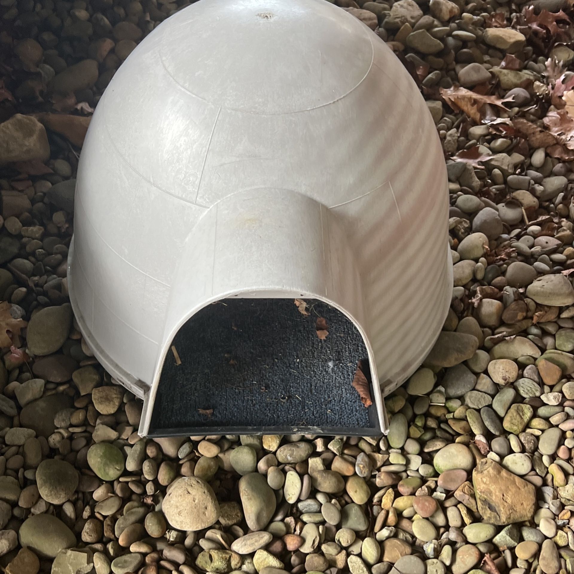 Pet Igloo Outside Kennel