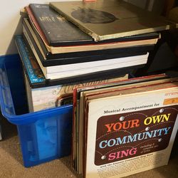 Lot Of 80+ Vinyl LPs for Resale Discogs/Ebay