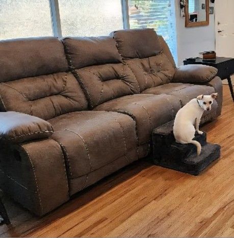 Comfy Well Used Couch