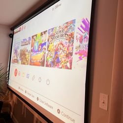 Projector Screen 125”