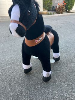 Pony Cycle