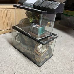 Reptile Supplies, Hides, Bulbs And More