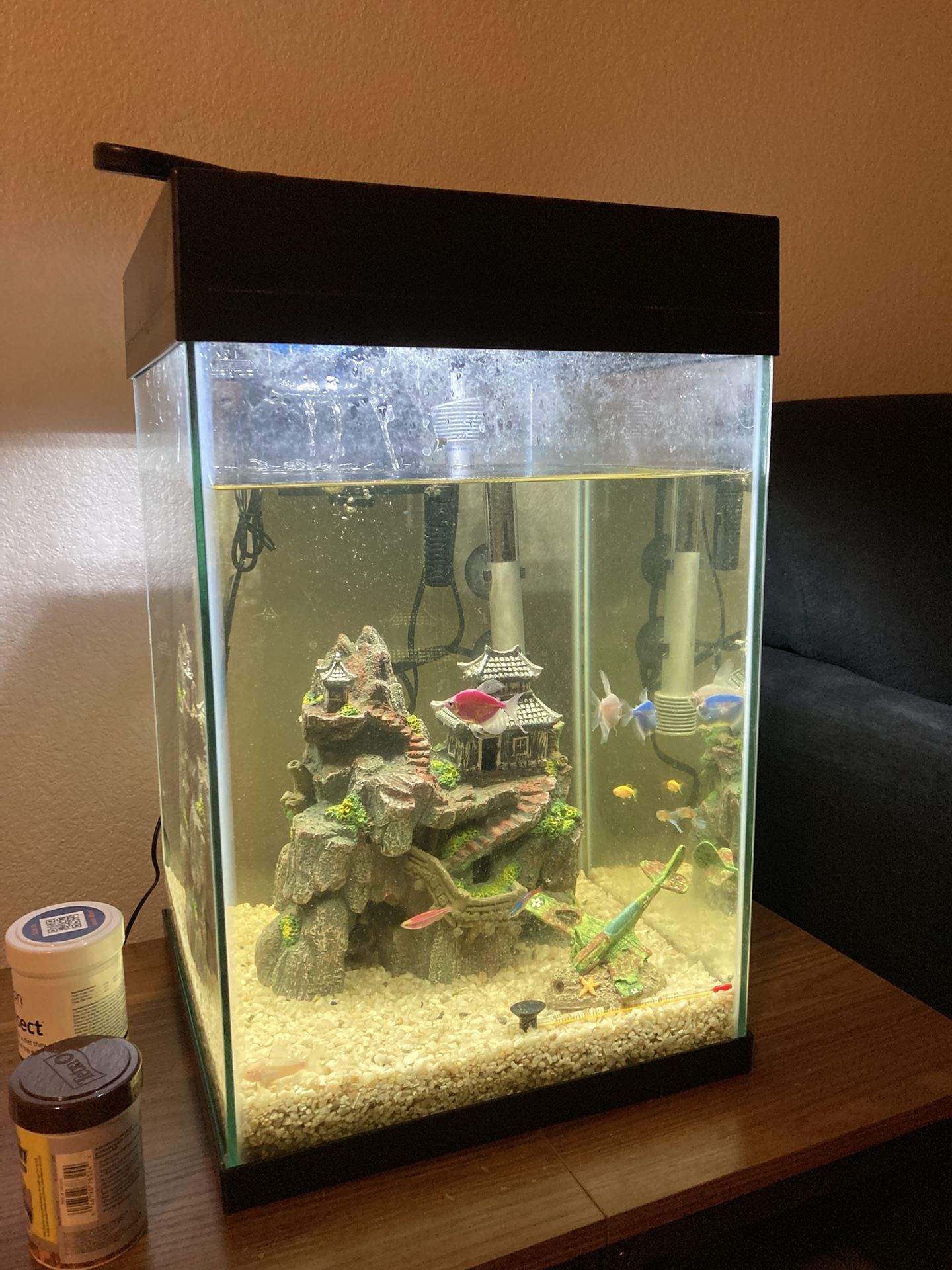 Tank With Fishes