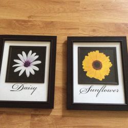 Set Of Two Flower Pictures With Black Frames 