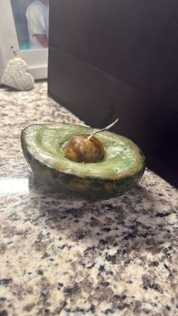 Avocado candle