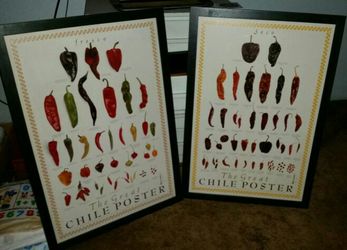 Framed Posters - Fresh Peppers - Dried Peppers
