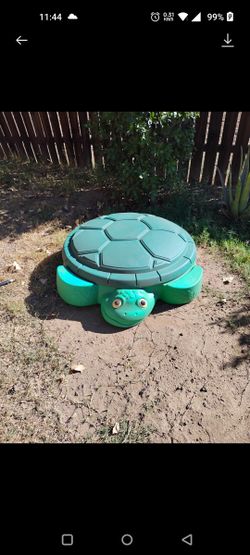 Turtle Pool